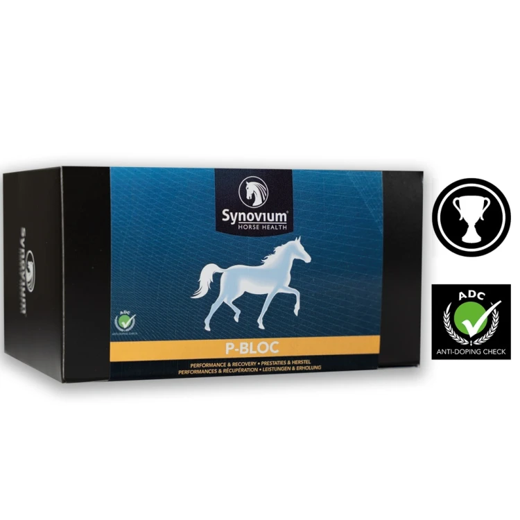 [SYN334] Synovium® P-Bloc 6 x 38 g.jpg