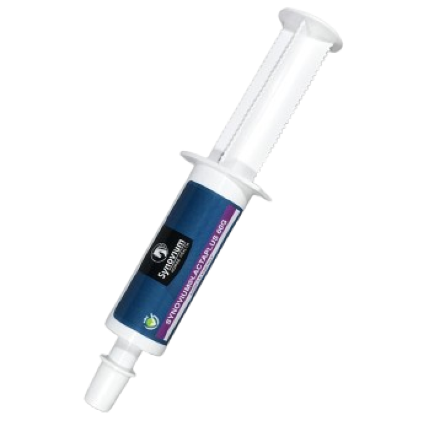 _SYN328__Synovium__Lactaplus_paste_-removebg-preview.png
