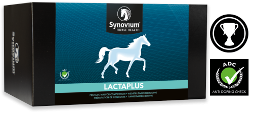 [SYN322] Synovium® Lactaplus 6 x 40 g.png