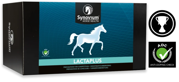 [SYN322] Synovium® Lactaplus 6 x 40 g.png