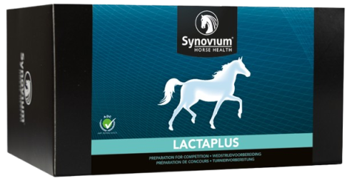 _SYN322__Synovium__Lactaplus_6_x_40_g