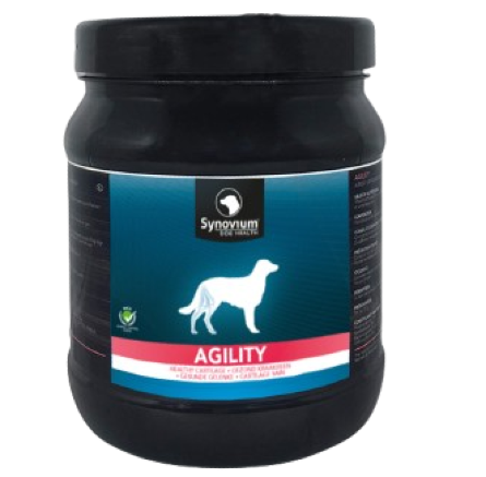 agility_dog_1200x1200px-removebg-preview.png