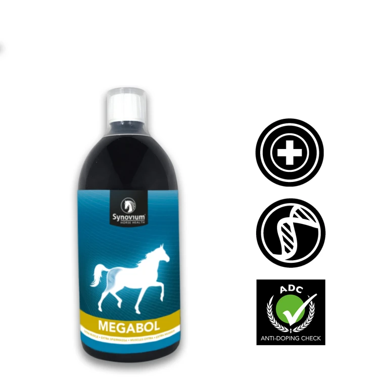 megabol 1200x1200px.jpg