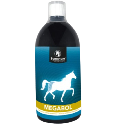 megabol_1200x1200px-removebg-preview.png