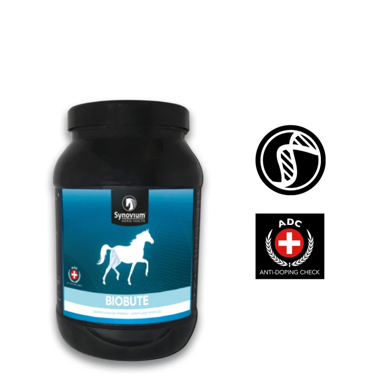 biobute 1200x1200px.jpg