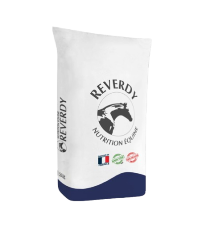 6-removebg-preview.png