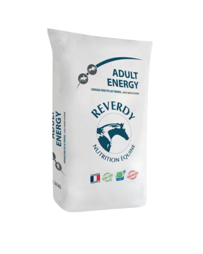4-removebg-preview.png