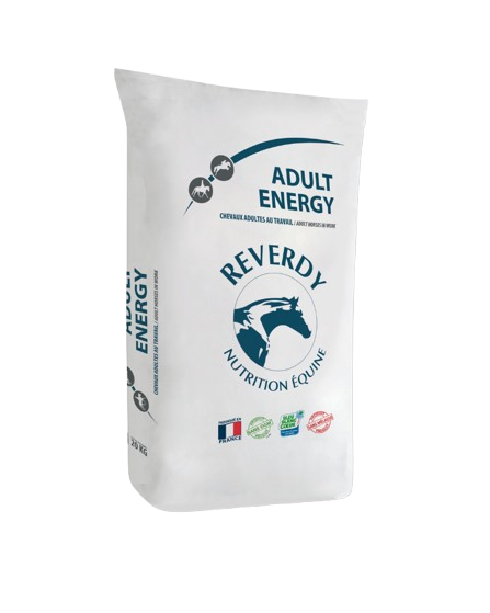 4-removebg-preview.png