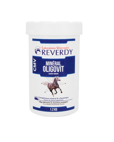 20-removebg-preview.png