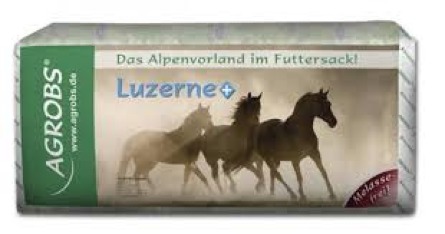 Luzerne-plus.jpg