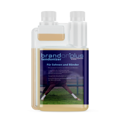 BrandonPlus_Tendonizer_neu-1024x1024.png
