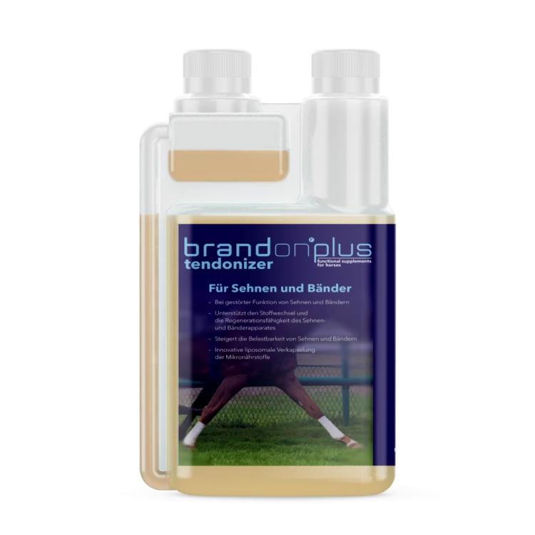 BrandonPlus_Tendonizer_neu-1024x1024.png
