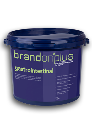 Gastrointestinal.png