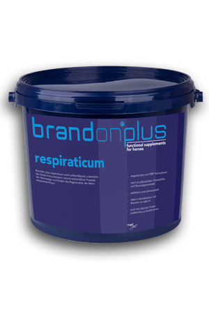 Respiraticum.png