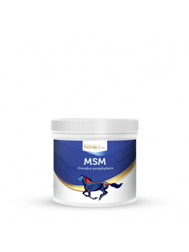 msm-500g-kegel-horses.jpg