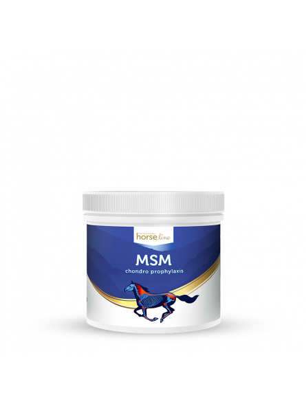 msm-500g-kegel-horses.jpg