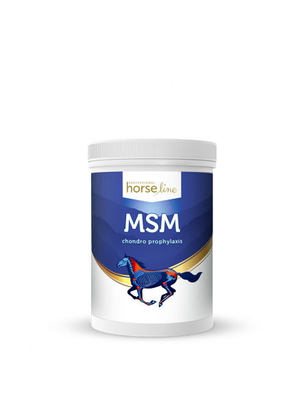 msm-700g-kegel-horses.jpg