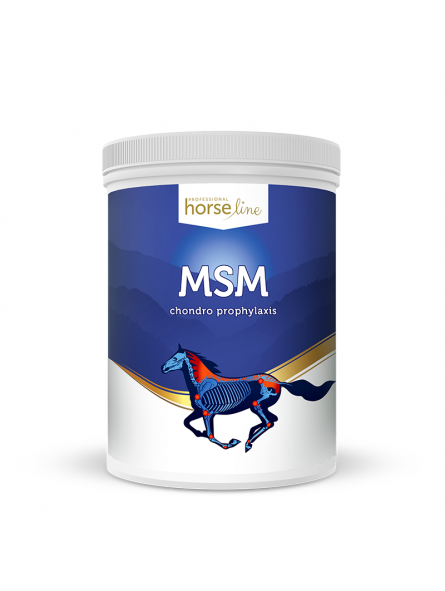 msm-1300g-kegel-horses.jpg