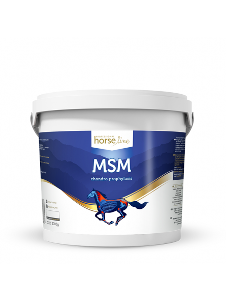 msm-3000g-kegel-horses.jpg