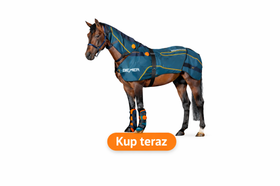 https://shop.bemergroup.com/pl_PL/home?partner=kegel-horses