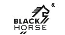 Producent: BLACK HORSE (przejdź do produktów)